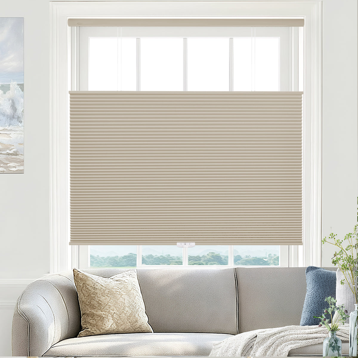 Blackout Honeycomb Shades - No Drill Cordless Top Down Bottom Up