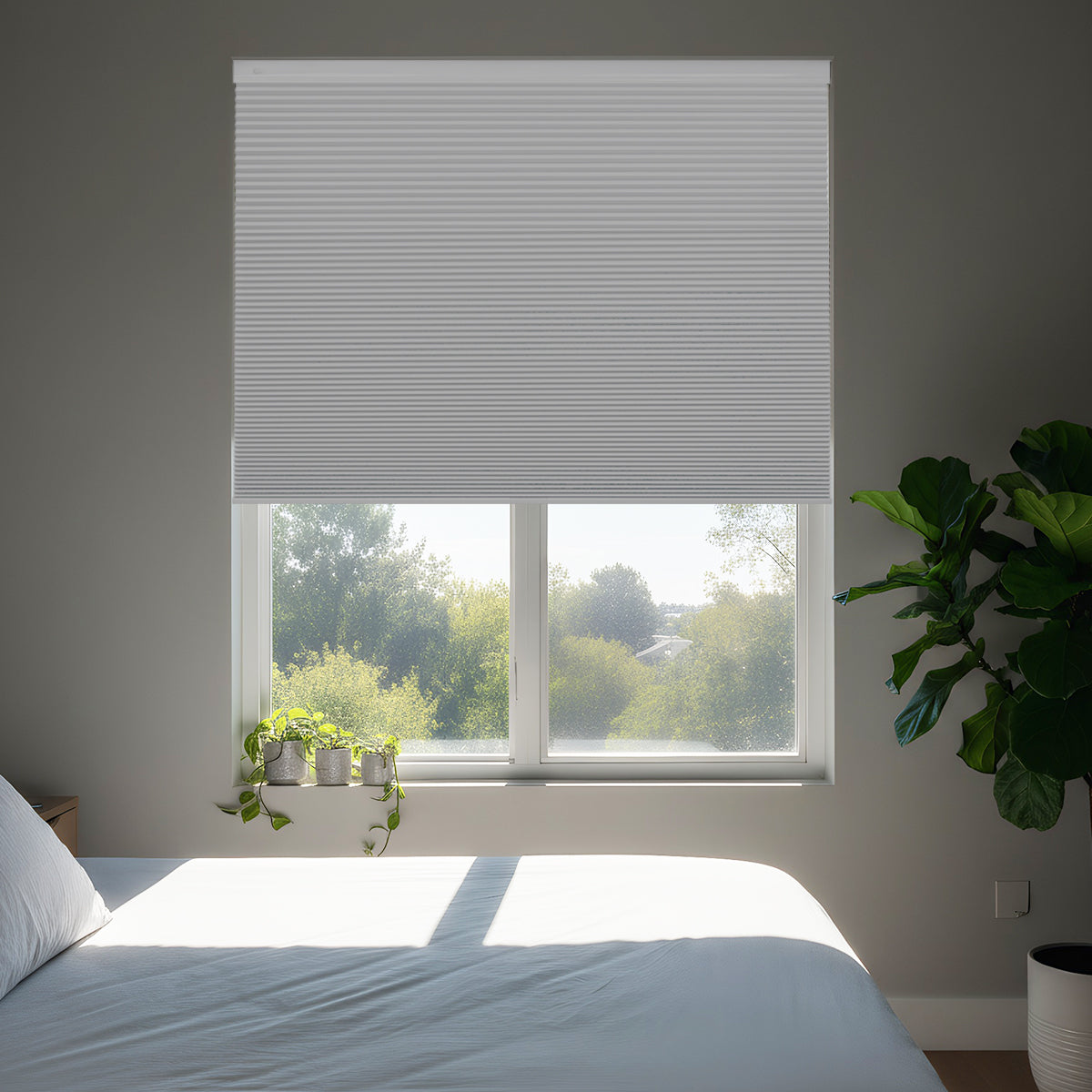 Custom No Drill Cordless Blackout Cellular Shades, Made to Measure Honeycomb Window Shades, Thermal Insulated, Child Safe