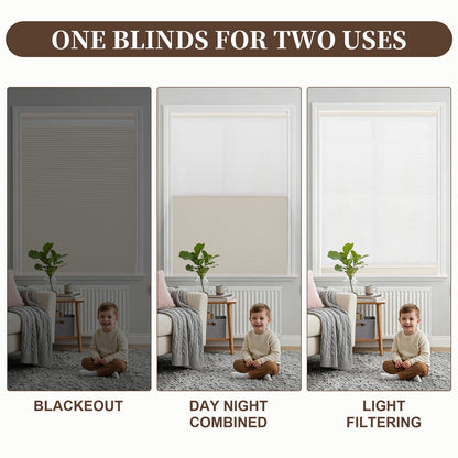 Custom Motorized Day Night Cellular Shades – Smart Double Honeycomb Blinds with Remote Control